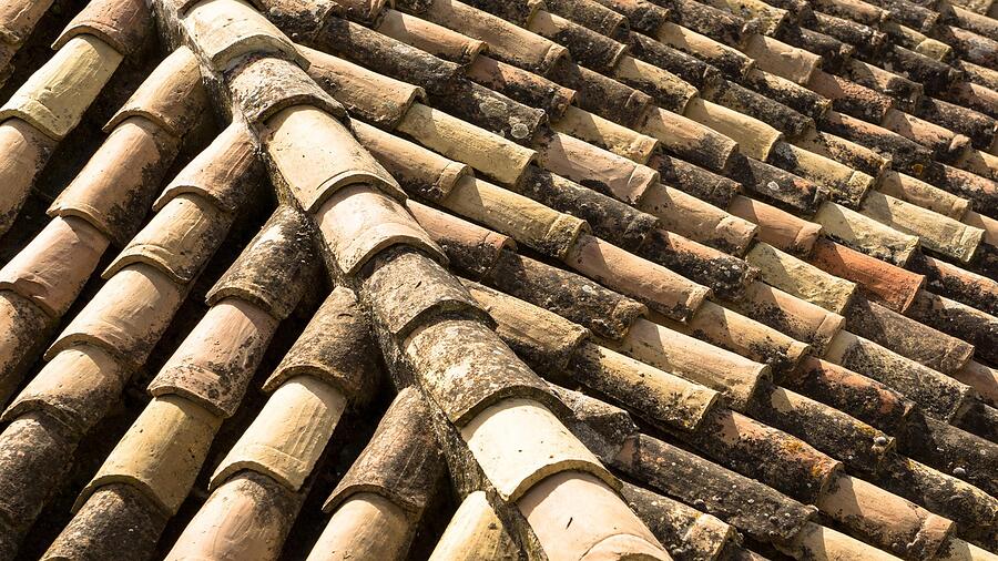 The open half-round ends of a first course of clay barrel tile at the eave, the gap a bird stop closes