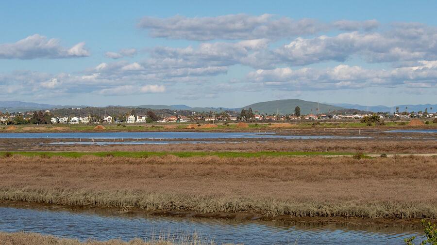 Bayfront wetland with reeds and open water, a town and hills in the distance