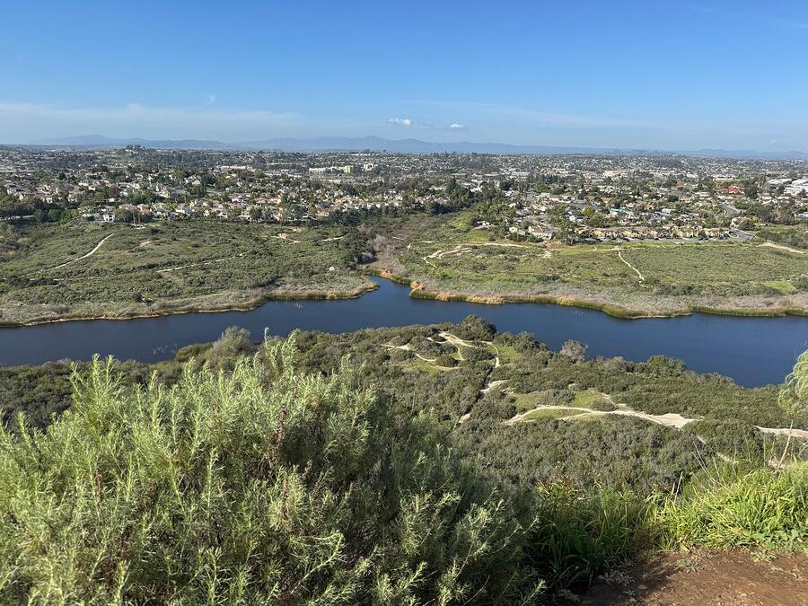 A Carlsbad lagoon with marsh and reeds, houses along the far shore