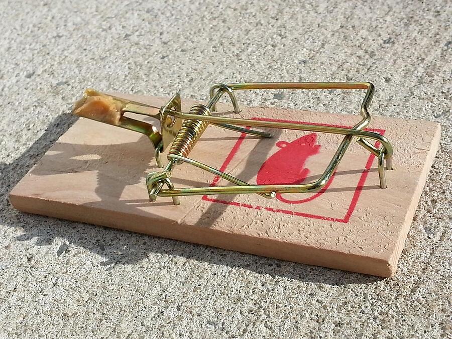 A baited wooden snap trap set on a concrete floor